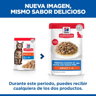 Hill's Science Plan Adult 1-6 comida para gatos con pescado oceánico, Aviso: Nuevo envase, mismo sabor. Durante la transición, se puede entregar uno de los dos paquetes.