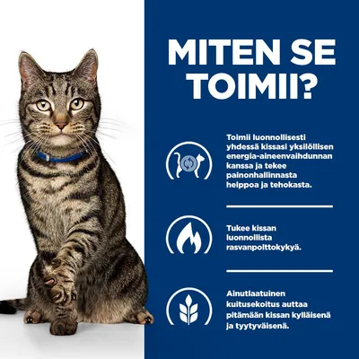 Grafiikka, jossa on kissa ja kolme pistettä: Tukee luonnollista energiankulutusta, edistää rasvanpolttoa, erityinen kuituseos lisää kylläisyyttä ja tyytyväisyyttä. Grafiikka, jossa on kissa ja kolme pistettä: Tukee luonnollista energiankulutusta, edistää rasvanpolttoa, erityinen kuituseos lisää kylläisyyttä ja tyytyväisyyttä.