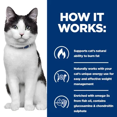 Hill's Prescription Diet j/d Metabolic + Mobility csirke macskatáp Hill's Prescription Diet j/d Metabolic + Mobility csirke macskatáp