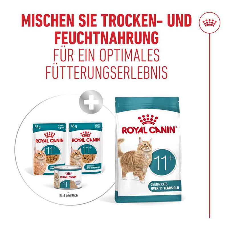 Royal Canin Ageing 11+ in Soße