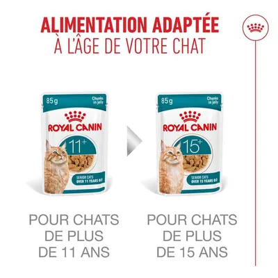 Royal Canin Ageing 11+ en gelée Royal Canin Ageing 11+ en gelée