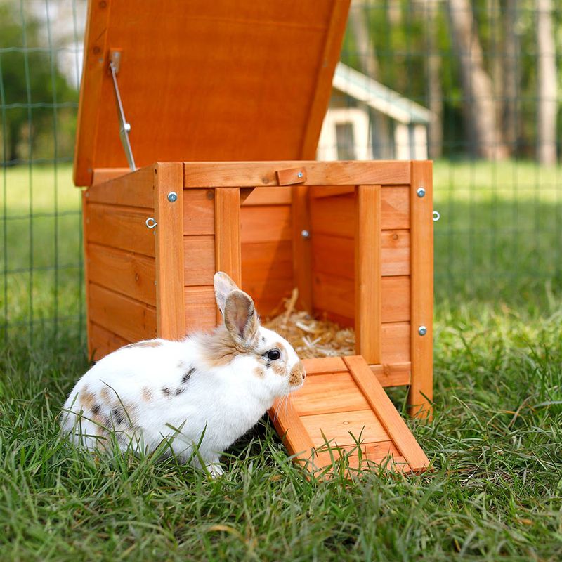 Lionto Katzen- und Kleintierhaus aus Holz
