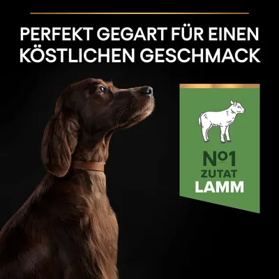 Perfekt gegart für köstlichen Geschmack. Hauptzutat Nr. 1: Lamm.