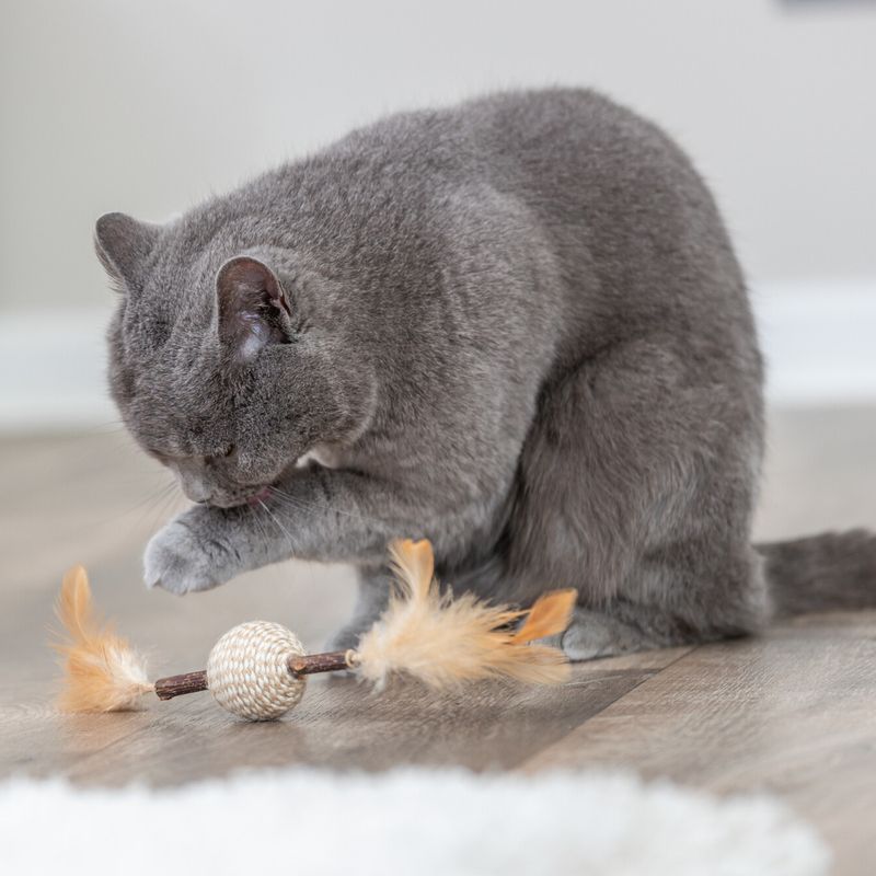 Trixie Jouet sur ressort Matatabi pour chat