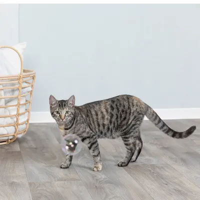 Trixie Bulles d'herbe à chat