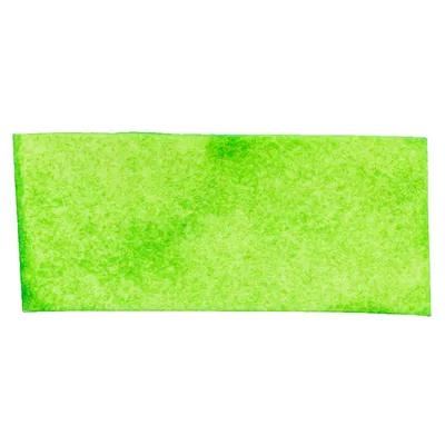 Trixie Denta Fun Chips spirulinával