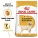Royal Canin Labrador Retriever Adult