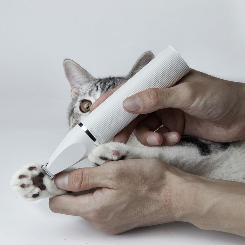 Petkit 2in1 Pro Fur Trimmer | zooplus