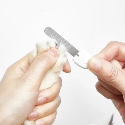 Petkit LED tagliaunghie PRO per animali domestici