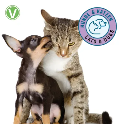 Vetlando Augenpflege Vetlando Augenpflege