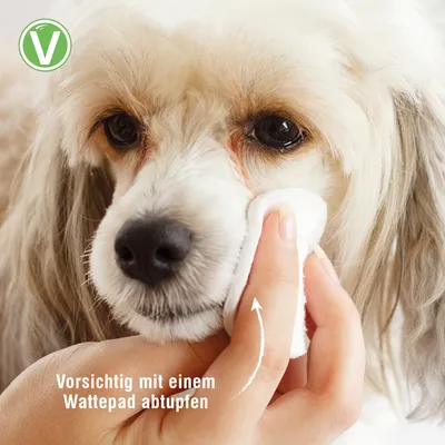 Vetlando Augenpflege Vetlando Augenpflege