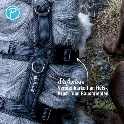 Petlando Mesh Sicherheitsgeschirr, schwarz