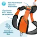 Petlando Outdoor Geschirr, orange