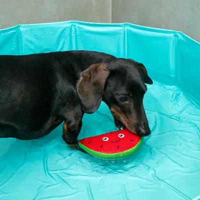 TIAKI hračky do vody ovocie