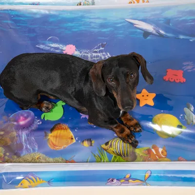 TIAKI Wasser-Spielmatte