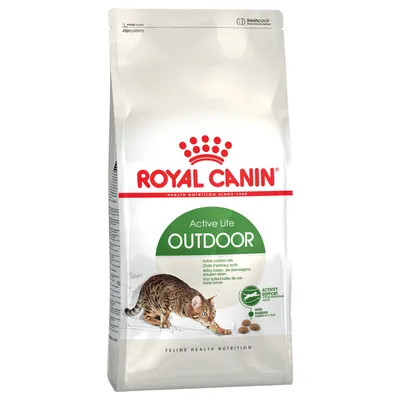 Royal Canin Active Life Outdoor cibo per gatti, per gatti attivi che vivono all'aperto. Confezione con immagine di un gatto e indicazione di protezione della pelle tramite nutrienti.