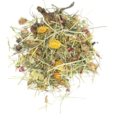 JR Farm Seau Vital-Mix pour rongeurs et lapins nains