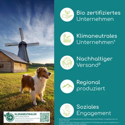 Wolfsbacher Natur Gelenktabletten