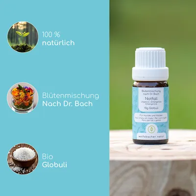 Wolfsbacher Natur Bachblüten