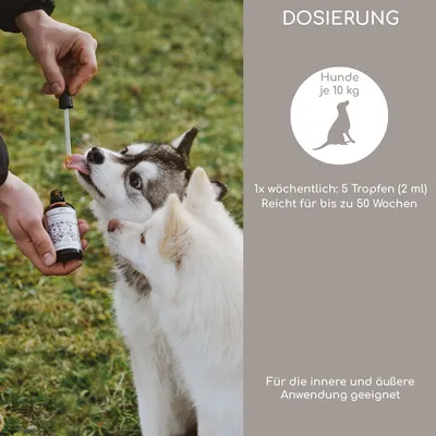 Wolfsbacher Natur Bio Schwarzkümmelöl