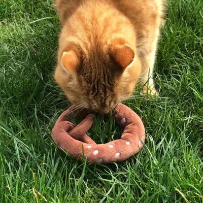 Aumüller Coussin de jeu pour chat Bretzel en peluche