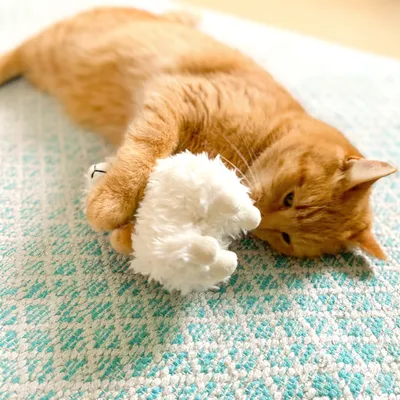 Aumüller Coussin pour chat Lama Luigi