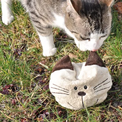 Aumüller Coussin de jeu pour chat Baldi Willy