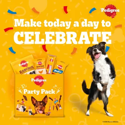 Pedigree Dog Treats Party Pack - 241g