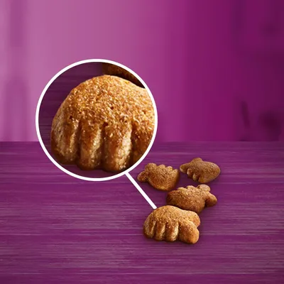 Whiskas Dentabites Mega Pack with Chicken - Multibuy: 2 x 120g