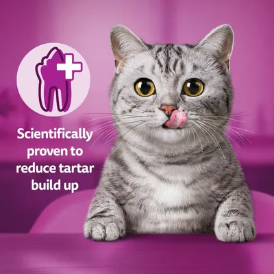 Whiskas Dentabites Mega Pack with Chicken - Multibuy: 2 x 120g