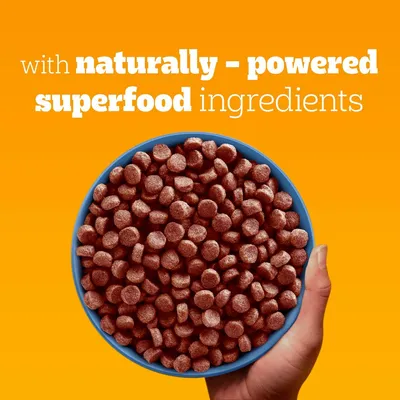 PEDIGREE® COMPLETE™ Puppy Beef & Vegetables