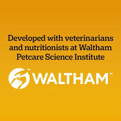 PEDIGREE® COMPLETE™ Puppy Beef & Vegetables