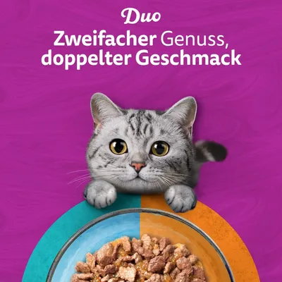 Whiskas 1+ adulte sachets 84 x 85 g pour chat