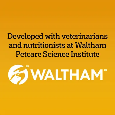 PEDIGREE® COMPLETE™ Senior Poultry & Vegetables