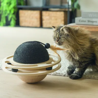 Designed by Lotte Balle en bois pour chat Baya Designed by Lotte Balle en bois pour chat Baya