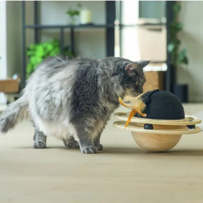 Designed by Lotte Balle en bois pour chat Baya Designed by Lotte Balle en bois pour chat Baya