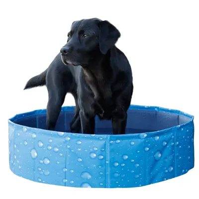 Kerbl Pet bazen za pse Bubble