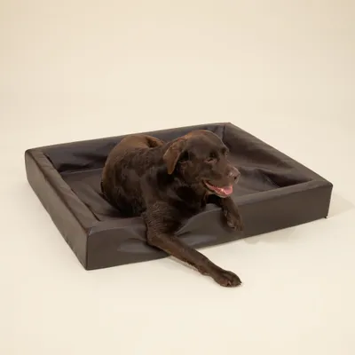Modern Living Hundebett Tabac