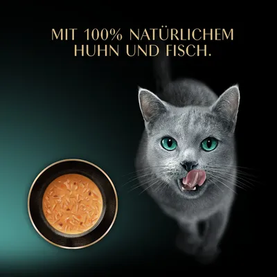 Sheba Soup Selection 32 x 40 g
