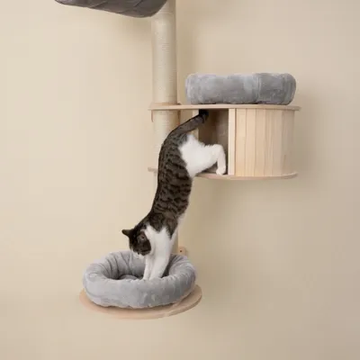 Natural Paradise väggklösträd