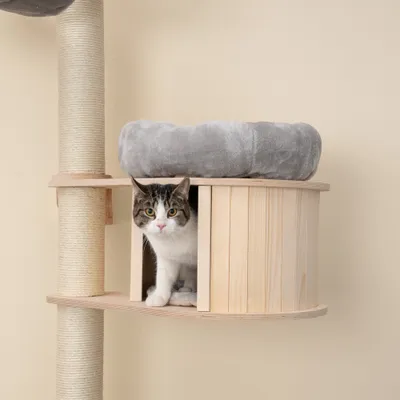 Natural Paradise väggklösträd