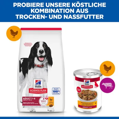 Hill's Science Plan Adult Stew