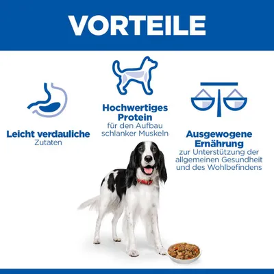 Hill's Science Plan Adult Stew