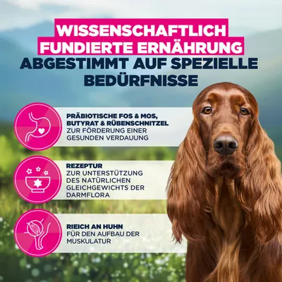 Eukanuba Special Care Sensitive Digestion Adult
