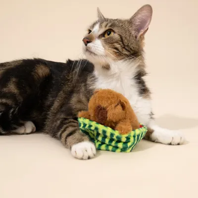 TIAKI Katzenspielzeug Chillendes Capibara TIAKI Katzenspielzeug Chillendes Capibara