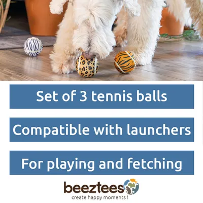 Beeztees Dog Toy Jungle Balls