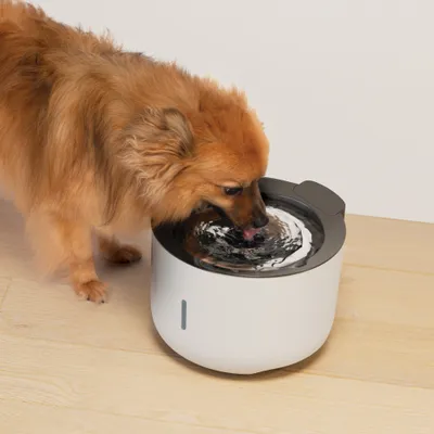 Zeus Oasis Drinking Fountain - Grey Zeus Oasis Drinking Fountain - Grey