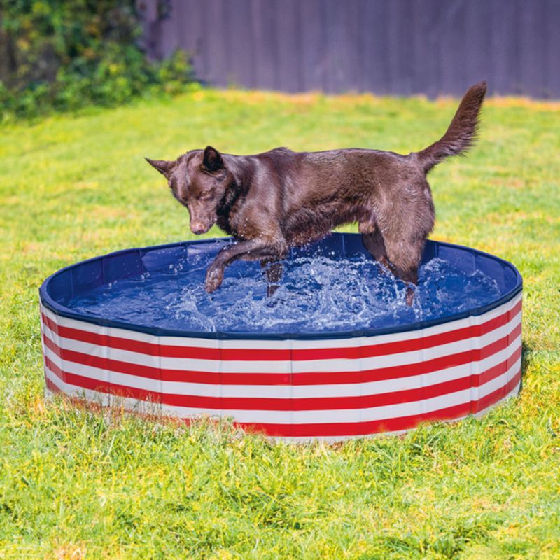 Agility Sport pour Chiens - Socle remplissable pour Jalons et cerceaux, Couleur: Jaune - 1x XSY Agility Sport pour Chiens - Socle remplissable pour Jalons et cerceaux, Couleur: Jaune - 1x XSY