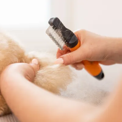 Hand gebruikt oranje vachtborstel met metalen pinnen voor het verwijderen van losse haren uit dikke vacht van huisdieren. Hand gebruikt oranje vachtborstel met metalen pinnen voor het verwijderen van losse haren uit dikke vacht van huisdieren.