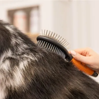 WAHL® Spazzola 2 in 1 per toelettatura